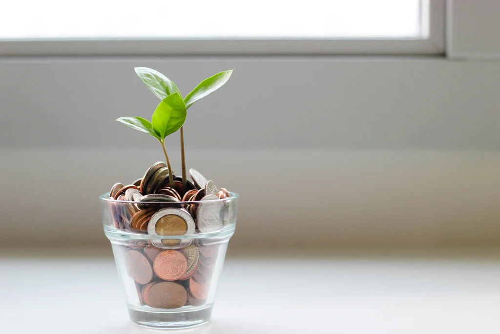 A plant in a glass of coins