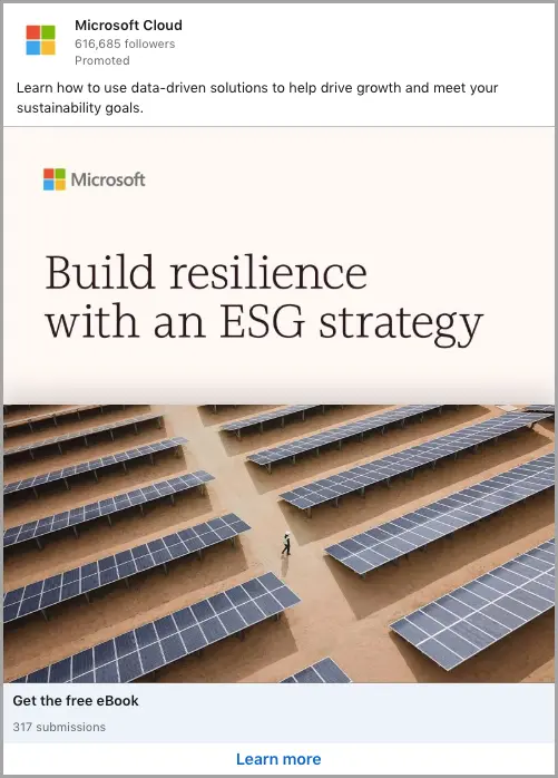 Linked paid ad example.